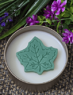 WILD GROVE - Image 2